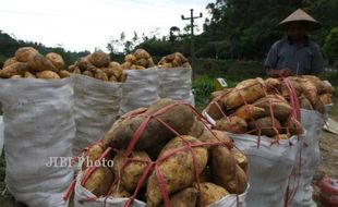 Ini Pangan Lokal yang Jadi Andalan di Bantul