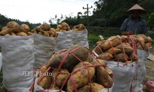 Ini Pangan Lokal yang Jadi Andalan di Bantul