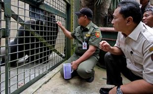 SIDAK MARGASATWA RAGUNAN