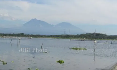  RAWA JOMBOR : Volume Air di Rawa Jombor Tinggal 5%