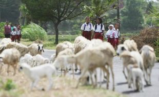 LEBARAN 2013 : Siswa Libur 18 Hari, Sekolah Diimbau Tak Beri Tugas