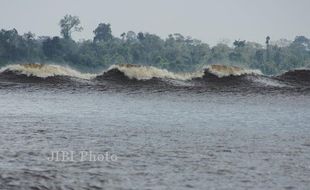 Bono Pelalawan Masuk 27 Objek Wisata Terbaik