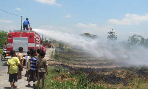 KEBAKARAN DI LAHAN TEBU