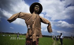 KEARIFAN LOKAL : SMK Bansari Temanggung Pamerkan Puluhan Memedi Sawah 