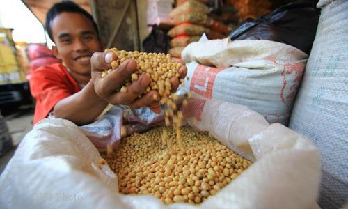 HARGA KEDELAI NAIK : Pemerintah Jual Kedelai Sedikit di Atas Rp8.000/Kg   