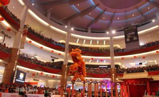 INTERNATIONAL LION DANCE