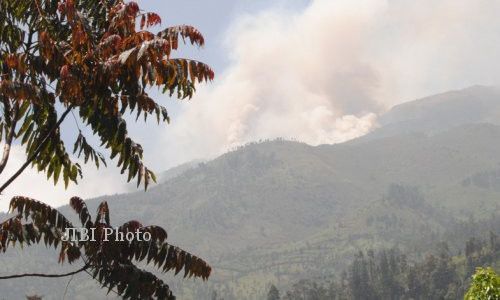 KEBAKARAN KARANGANYAR : Pendaki yang Telanjur ke Puncak Lawu Dievakuasi via Cemoro Kandang