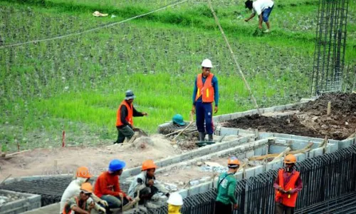 Pertanian Berkurang karena Alih Fungsi Lahan