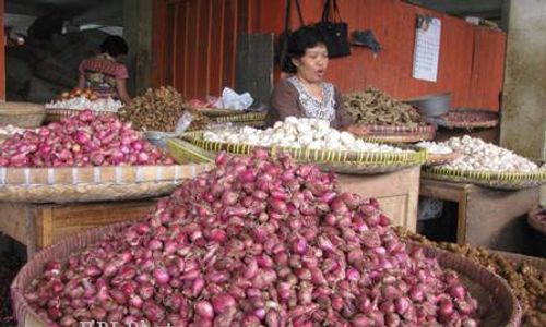 Harga Bawang Merah Turun, Rp22.000 Per Kilogram