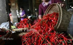 KEBUTUHAN BAHAN PANGAN : Produksi Cabai Besar di Jateng Naik 15,69 Persen