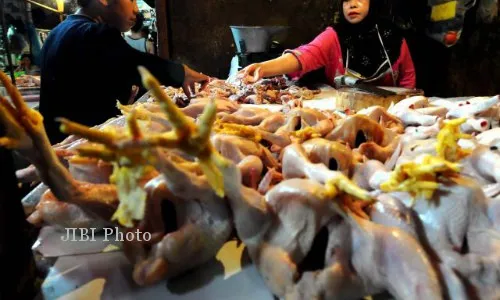 Harga Kebutuhan Pokok di Bantul Stabil, Daging Ayam Rp32.000