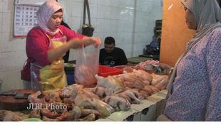 HARGA AYAM NAIK : Di Jogja, Daging Ayam Rp33.000 Per Kilogram 