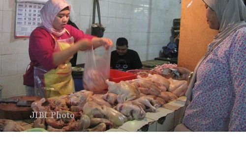 HARGA AYAM NAIK : Di Jogja, Daging Ayam Rp33.000 Per Kilogram 