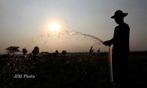 BENCANA KEKERINGAN : Dinas TPH Akan Beli 40 Pompa Air