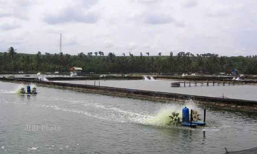 TAMBAK UDANG BANTUL : Dewan Curiga Ada Pejabat Bermain Tambak Udang