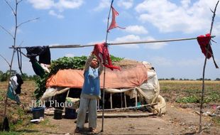 TINGGAL DI TENGAH SAWAH