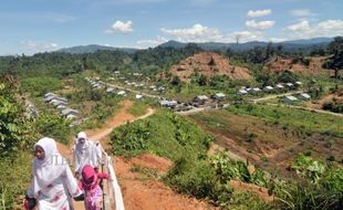 TRANSMIGRASI JATENG : Jateng Transmigrasikan 100 Keluarga ke Kalimantan