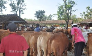 IDUL ADHA 2013 : Disnakkan : Boyolali Aman dari Antraks