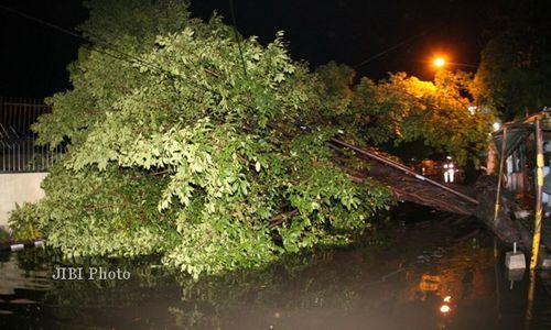 ANGIN KENCANG KARANGANYAR : Pohon Mahoni Roboh, Timpa 2 Mobil di Papahan Karanganyar