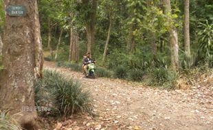 OBJEK WANA WISATA GUNUNG BROMO SEPI PENGUNJUNG