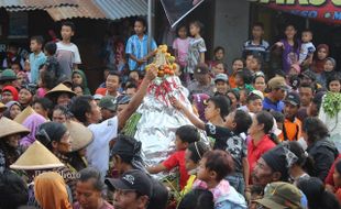 SEDEKAH BUMI MANISRENGGO : Sapi Seharga Rp60 Juta Ikut Kawal 17 Gunungan