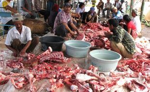 IDULADHA 2014 : Dilarang Cuci Daging Kurban di Selokan!