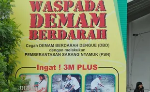  DEMAM BERDARAH : Jumlah Kasus DBD Melonjak Tajam  