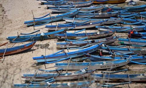 DKP DIY Targetkan Produksi Ikan 64.700 Ton