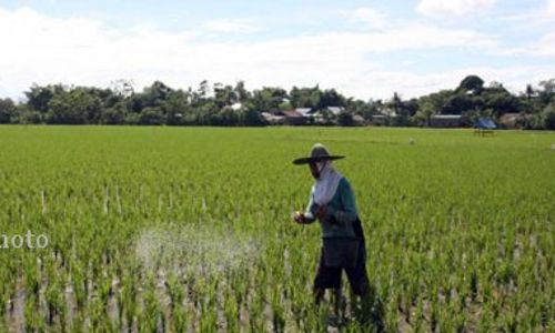 Bupati Gunungkidul Serukan Agar Petani Tinggalkan Pupuk Kimia 