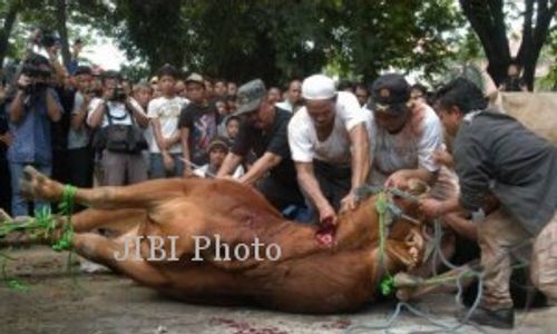 Puluhan Penjagal di Madiun Dilatih Menyembelih Hewan Kurban yang Sesuai Syariat