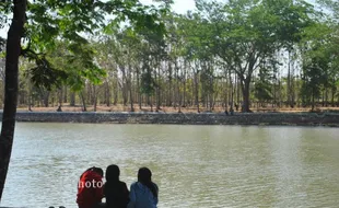 Kemarau, Air Telaga Jonge di Gunungkidul Tetap Melimpah