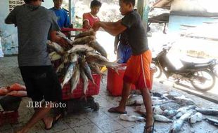 Tempat Pelelangan Ikan Gunungkidul Tak Beroperasi Maksimal