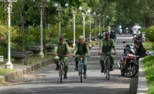 Warga Bikin Petisi Tolak Penebangan Pohon Cemara Manahan Solo