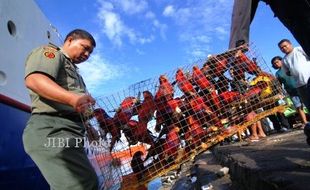 111 NURI TALAUD GAGAL DISELUNDUPKAN