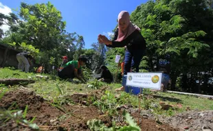 MENANAM TANAMAN HERBAL