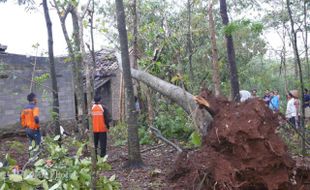 BENCANA KARANGANYAR : Hujan Deras, Tiga Rumah Rusak, Pohon-Pohon Bertumbangan