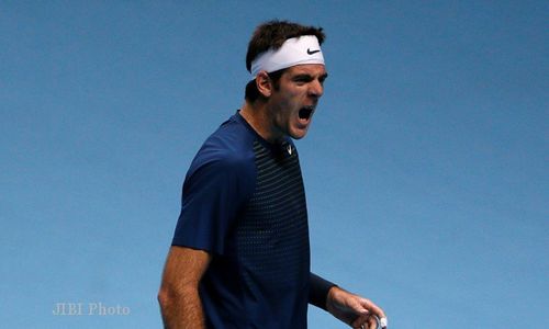 SYDNEY INTERNATIONAL 2014 : Del Potro Lewati Stepanek, Kvitova Tersingkir