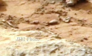 Foto-Foto Heboh Ini Jawab Teka-Teki Planet Mars?