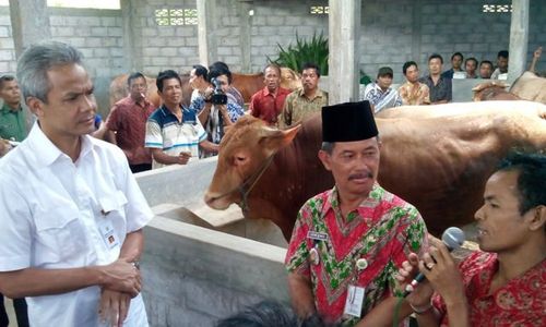  Potronayan Boyolali Jadi Contoh Pengembangan Sapi Jateng