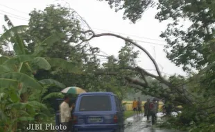 BENCANA ALAM : Korban Angin Kencang Masih Mengungsi