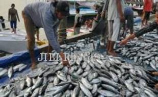 Menjadikan DIY Penghasil Ikan Tuna