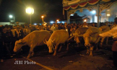 MALAM 1 SURA : Ini Agenda Kirab 1 Sura Solo Mulai Malam Nanti