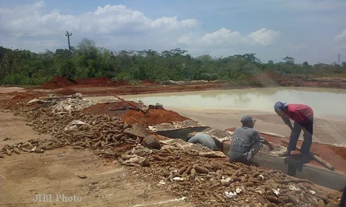 LIMBAH PABRIK TAPIOKA WONOGIRI : LSM: Pengelola Pabrik Bisa Diancam Pidana