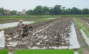  BANTUAN ALAT PERTANIAN : Desa Sribit Klaten Minim Traktor