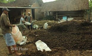 Hujan, Pupuk Organik Laris