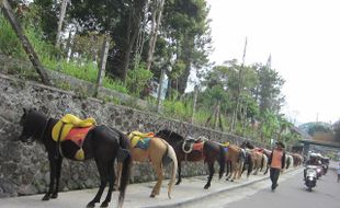  Wisatawan Serbu Objek Wisata Tawangmangu