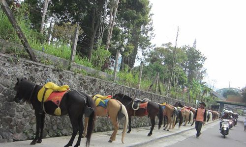 POLEMIK GROJOGAN SEWU : Demonstran Desak Pemerintah Pusat Serahkan Grojogan Sewu ke Karanganyar