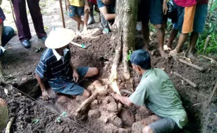 PENEMUAN CANDI SRAGEN : Arkeolog: Struktur Candi dari Masa Hindu-Buddha