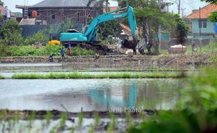 ALIH FUNGSI LAHAN : Sawah di Kulonprogo Beralih Fungsi Jadi Perumahan