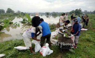 BANJIR BENGAWAN SOLO : Luapan Bengawan Solo Tak Picu Puso